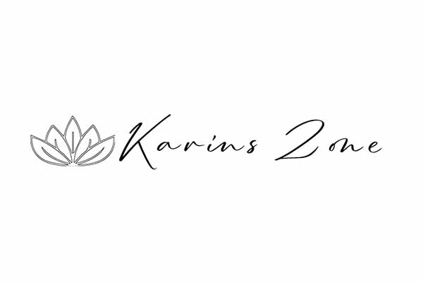 karins zone logo